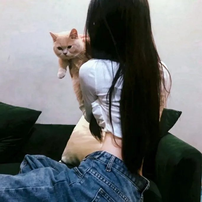 飞天小猴